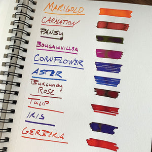 Diamine Flower Aster Fountain Pen Ink