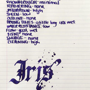Diamine Flower İris Fountain Pen Ink