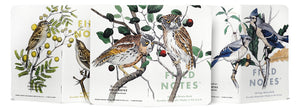 Field Notes Birds & Trees of North America A – Ruled 3-Pack