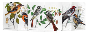Field Notes Birds & Trees of North America B – Ruled 3-Pack