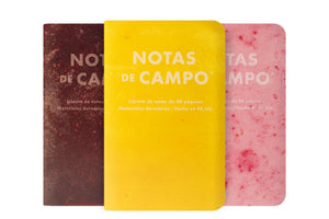 Field Notes Paletas B – Dot-Graph 3-Pack