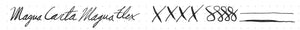 Magna Carta Mag 600 Fountain Pen True Flex Nib 9