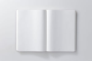 Stalogy 365Days Notebook - A5 - Dot Grid - 368 Pages - Blue