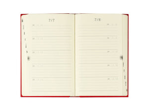 Midori 5 Years Diary - Door - Red