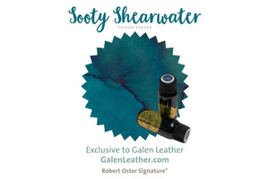Robert Oster - Sooty Shearwater Fountain Pen Ink - A Special Color for Zeynep